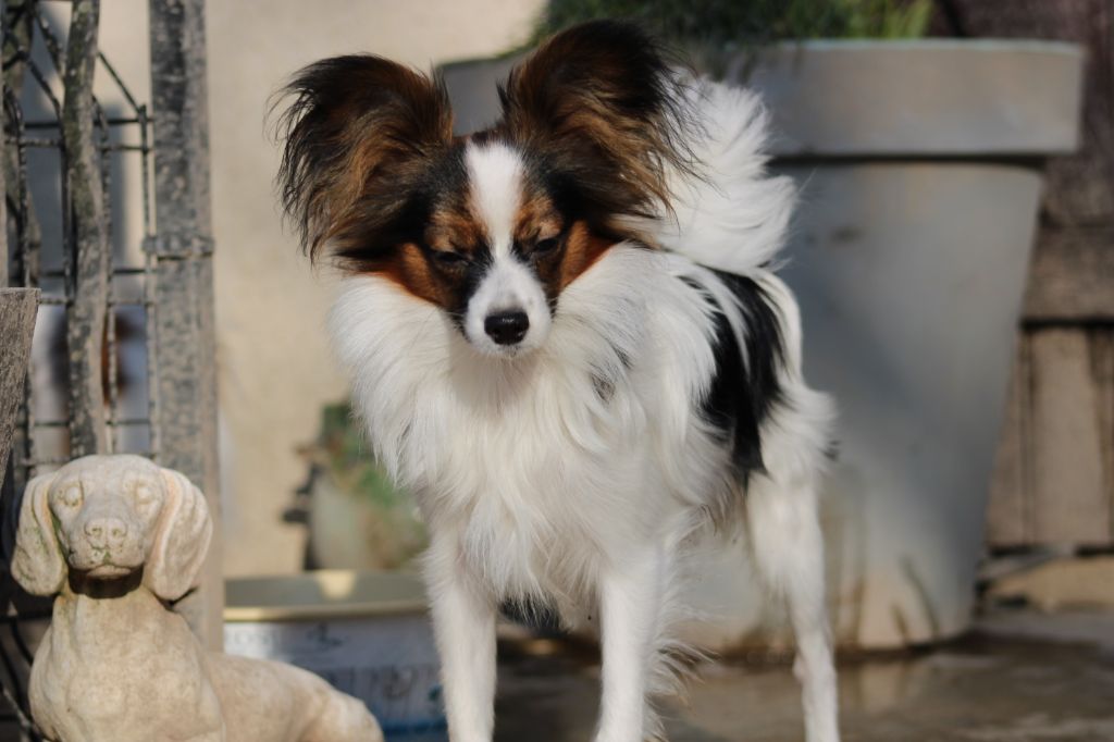 Ricky De La Vallée De La Py