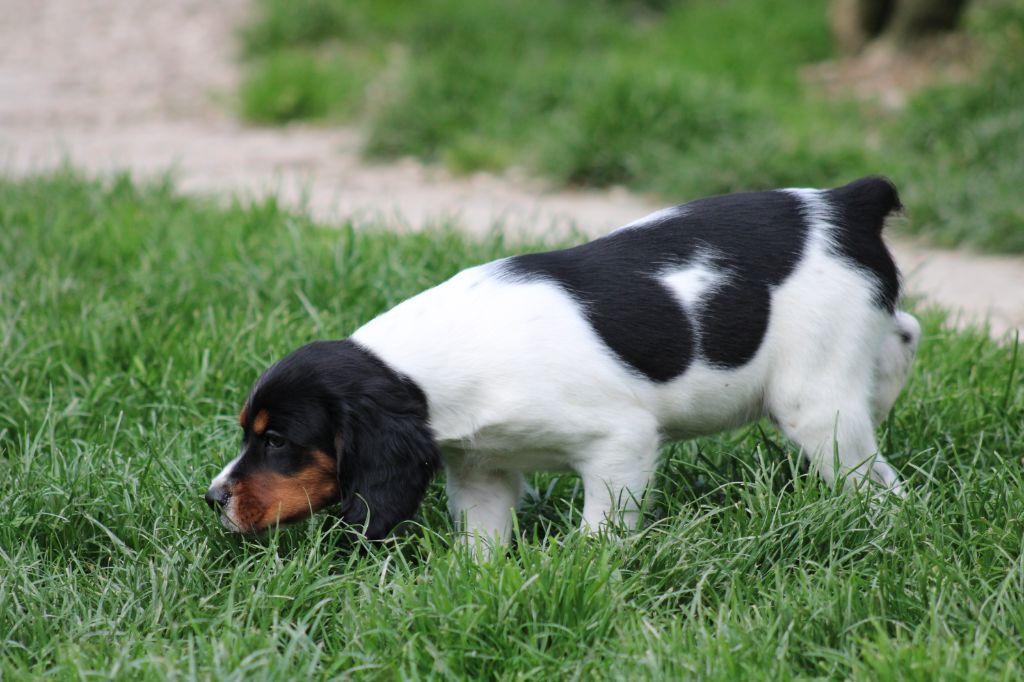 Vidoc De La Vallée De La Py