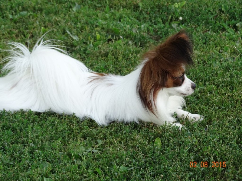 Jepp De La Vallée De La Py