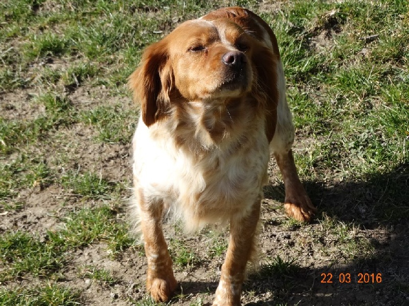 Hulma De La Vallée De La Py