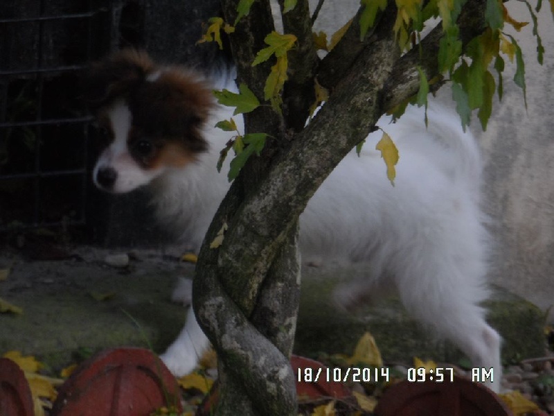 Jepp De La Vallée De La Py