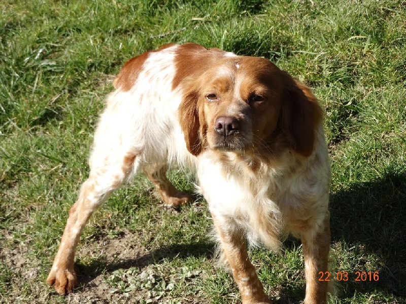 Hulma De La Vallée De La Py