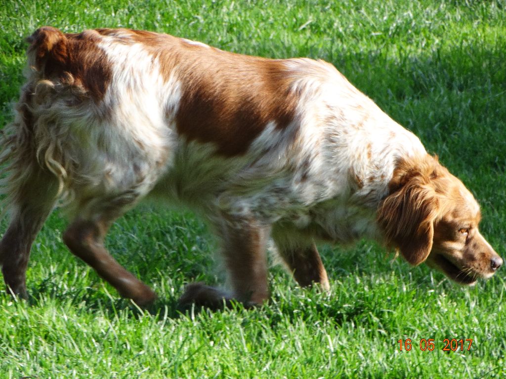 Hulma De La Vallée De La Py