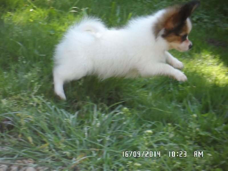 Jepp De La Vallée De La Py