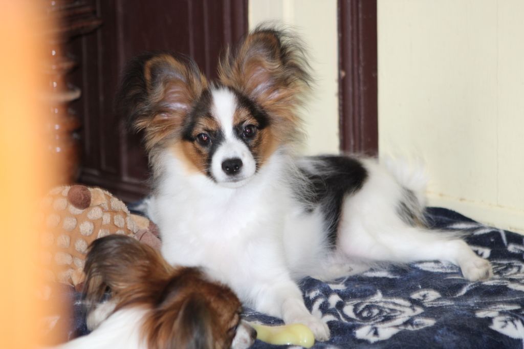 Ricky De La Vallée De La Py