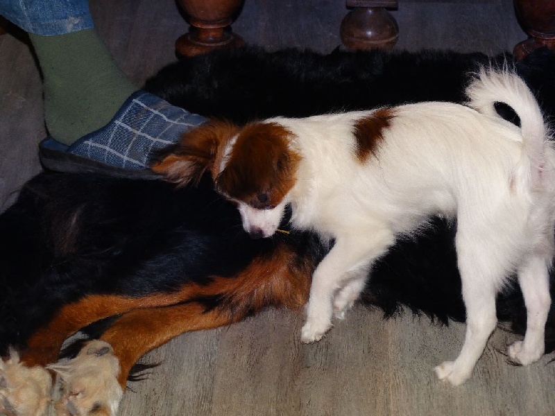 Jepp De La Vallée De La Py