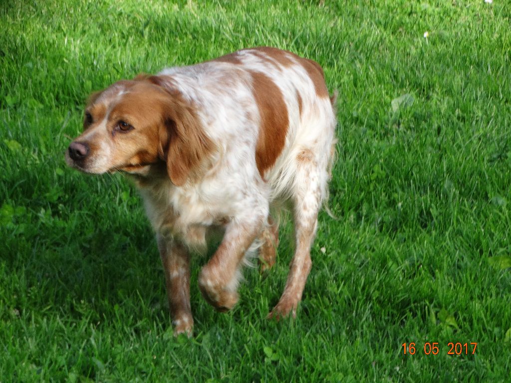 Hulma De La Vallée De La Py