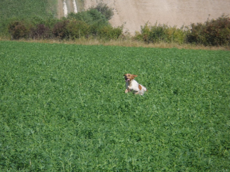 Hulma De La Vallée De La Py