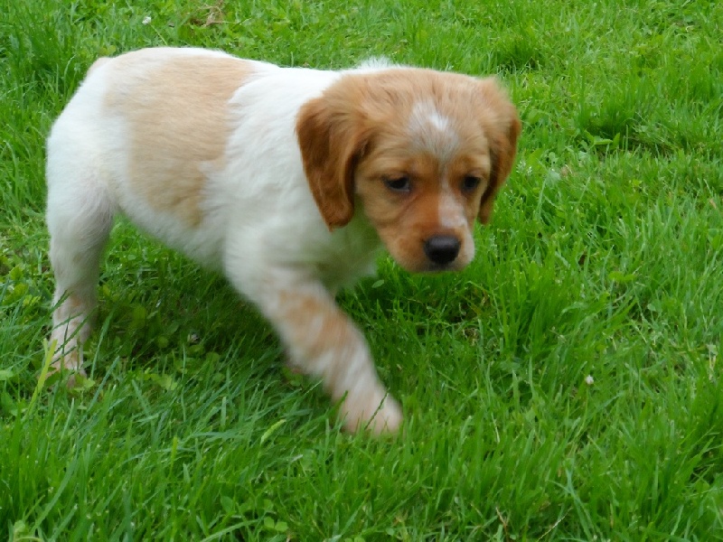 Hulma De La Vallée De La Py