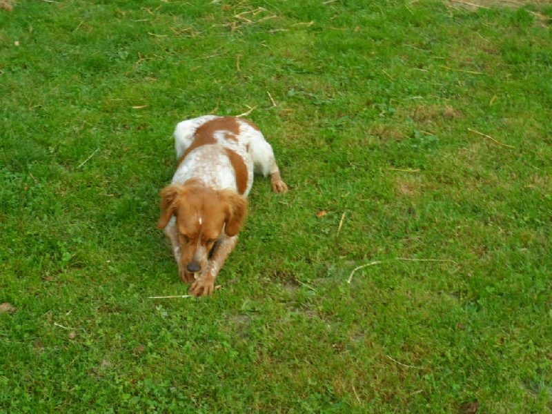 Hulma De La Vallée De La Py