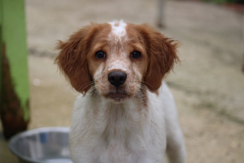 Tcho De La Vallée De La Py