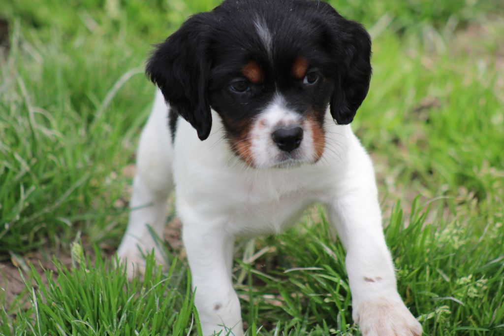 Vidoc De La Vallée De La Py