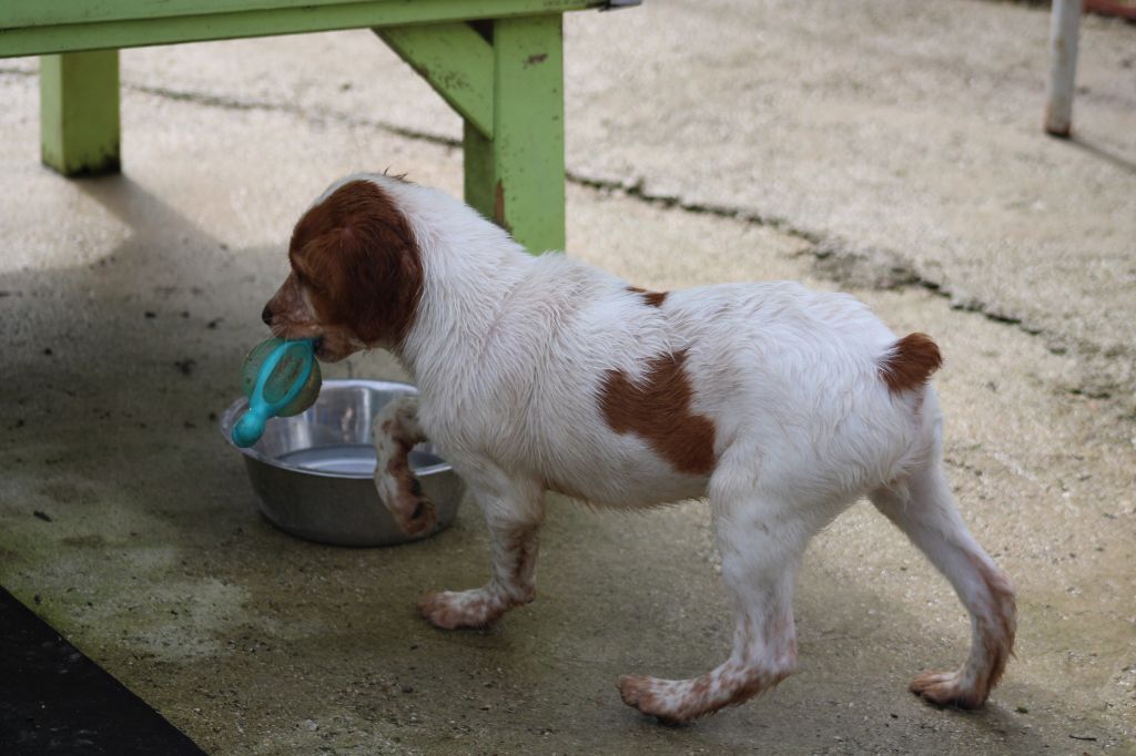 Tcho De La Vallée De La Py