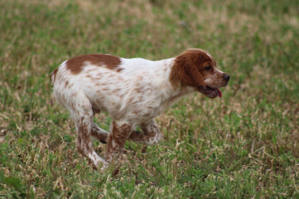 Artus De La Vallée De La Py