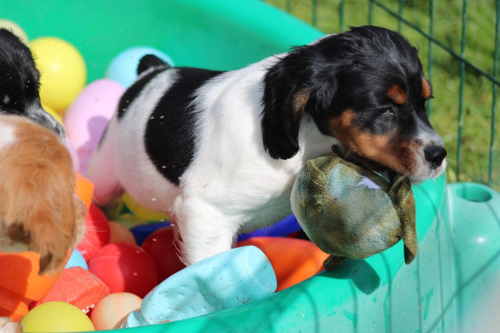 Vidoc De La Vallée De La Py