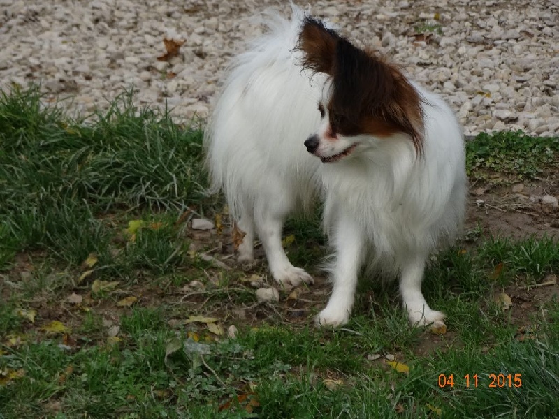 Jepp De La Vallée De La Py