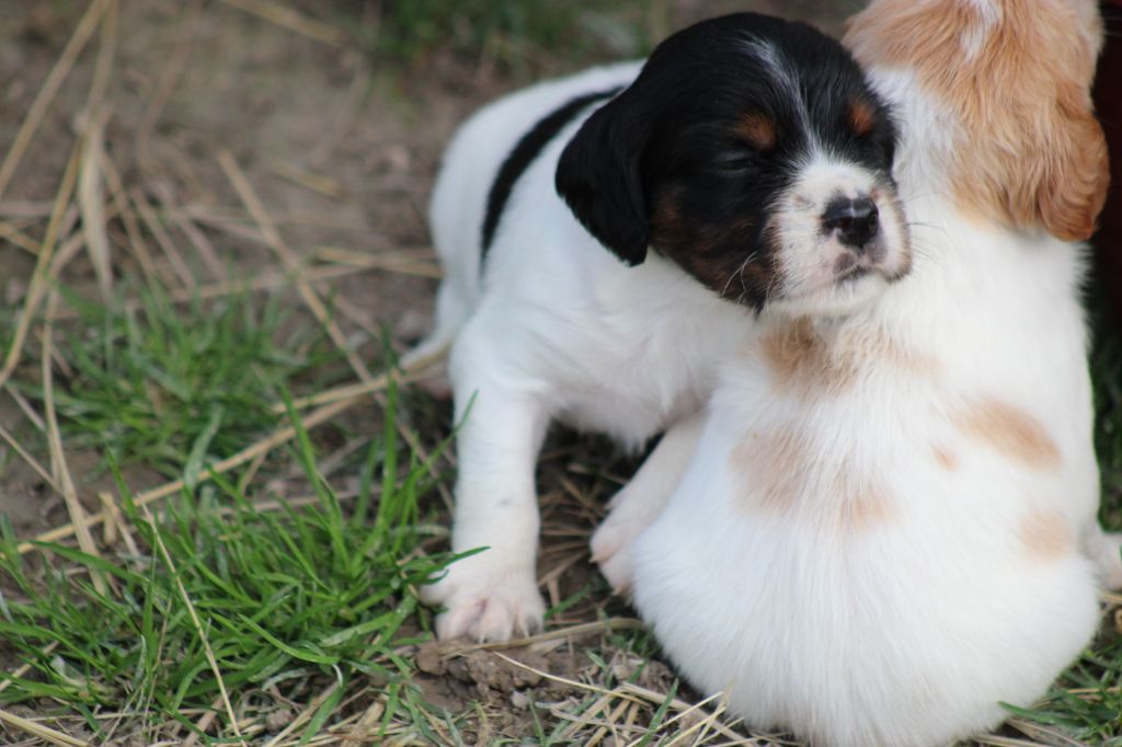 Vidoc De La Vallée De La Py