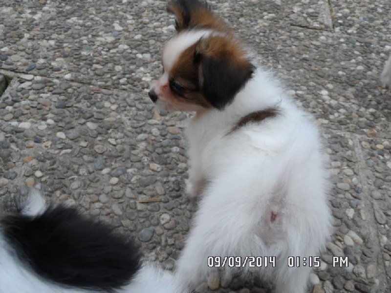 Jepp De La Vallée De La Py