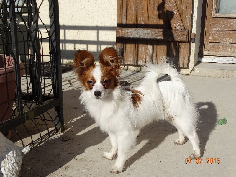 Jepp De La Vallée De La Py