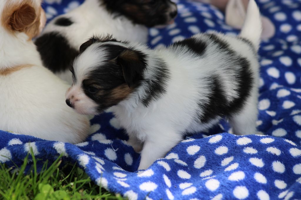 Ricky De La Vallée De La Py