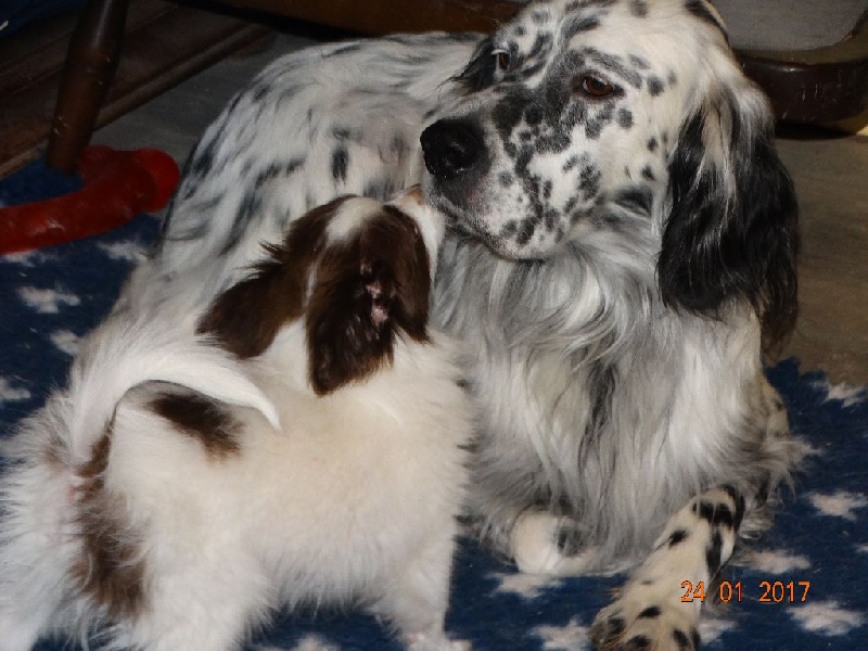 Mirabelle De La Vallée De La Py