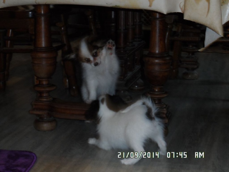 Jepp De La Vallée De La Py