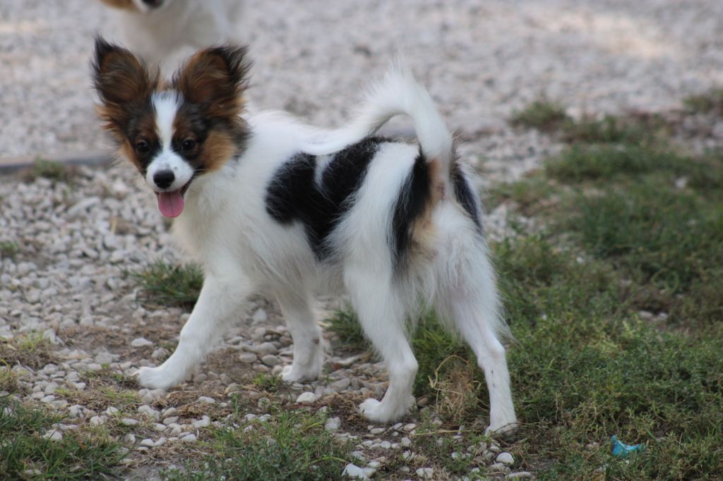 Ricky De La Vallée De La Py