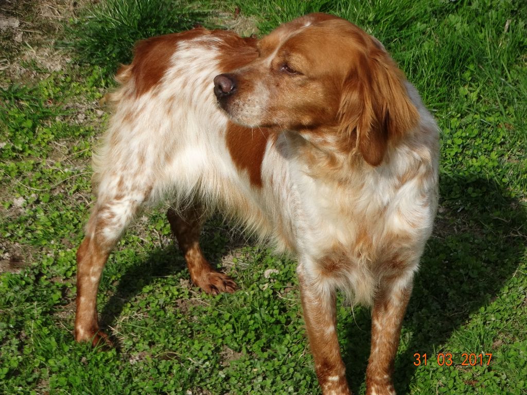 Hulma De La Vallée De La Py