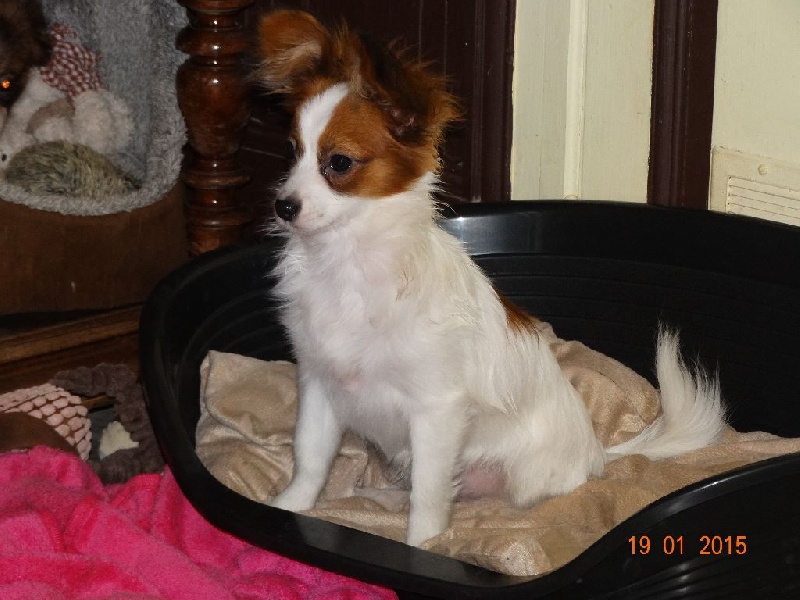 Jepp De La Vallée De La Py