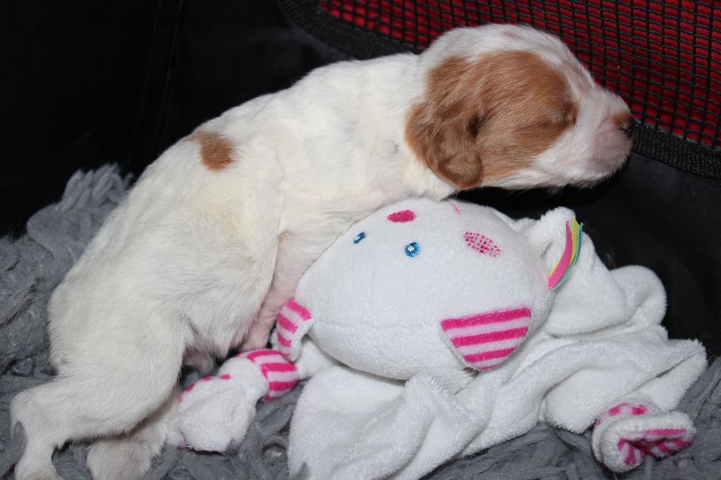 Tcho De La Vallée De La Py