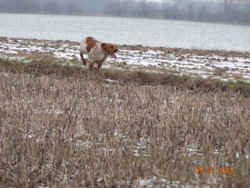 Hulma De La Vallée De La Py