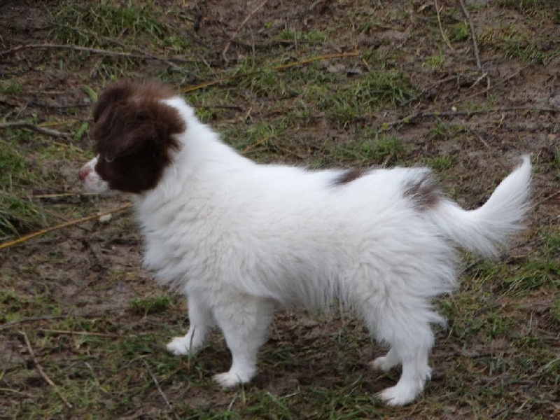 Mirabelle De La Vallée De La Py