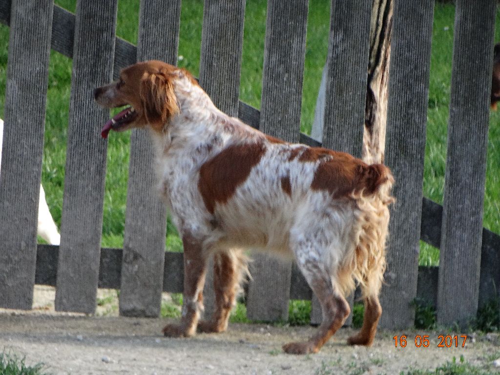 Hulma De La Vallée De La Py