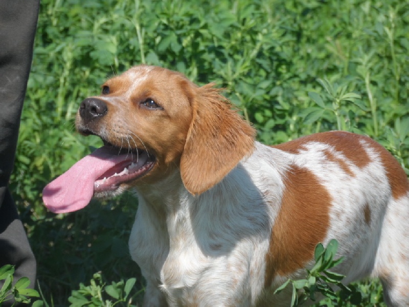 Hulma De La Vallée De La Py