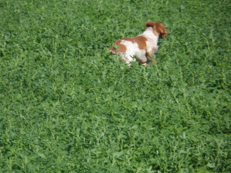 Hulma De La Vallée De La Py