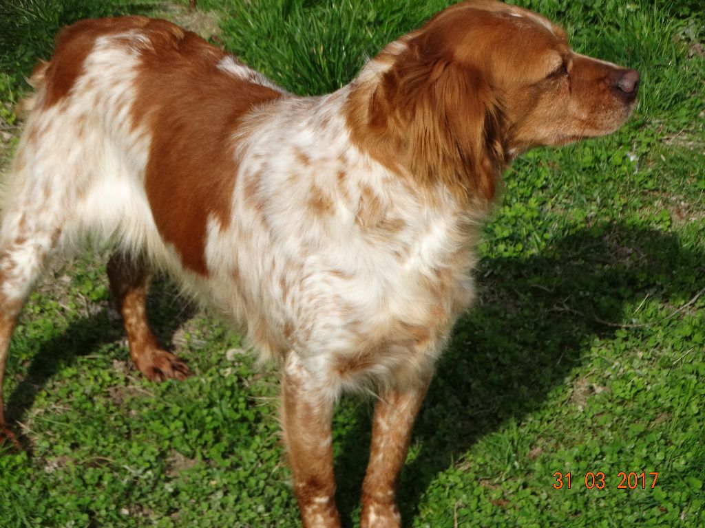 Hulma De La Vallée De La Py