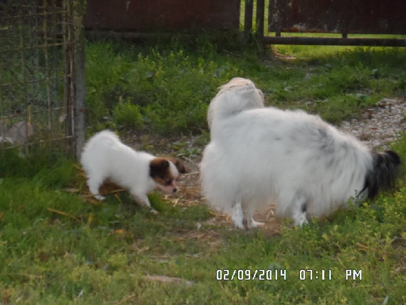 Jepp De La Vallée De La Py