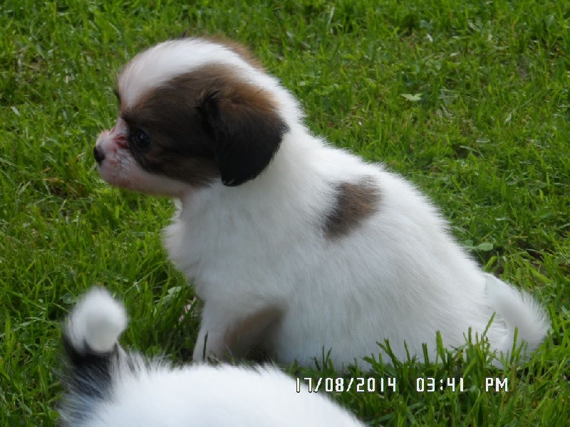 Jepp De La Vallée De La Py