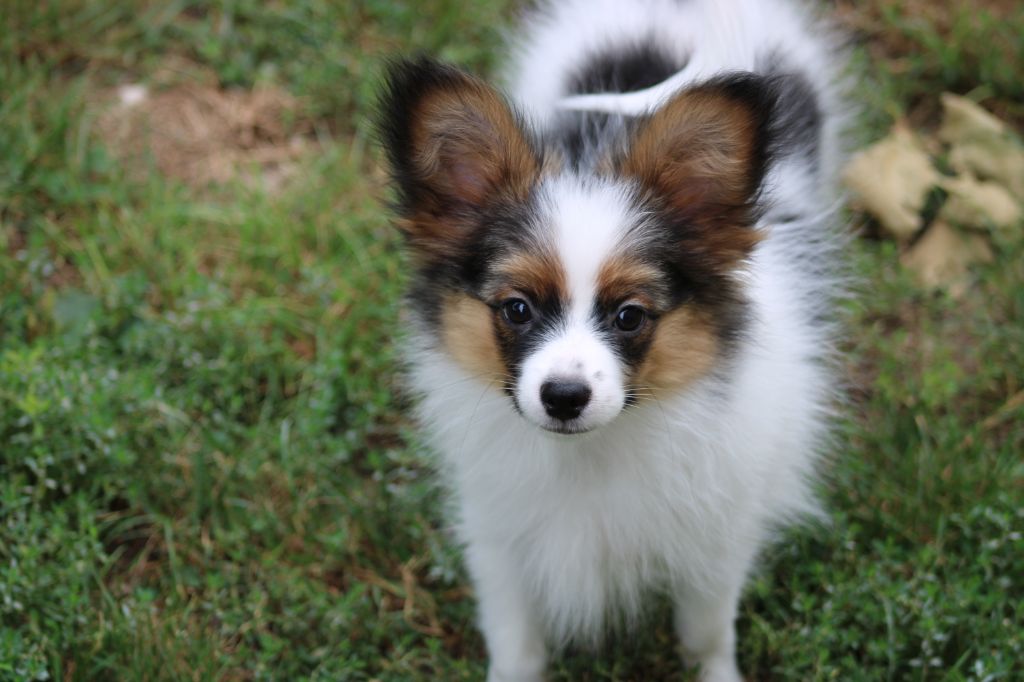 Ricky De La Vallée De La Py