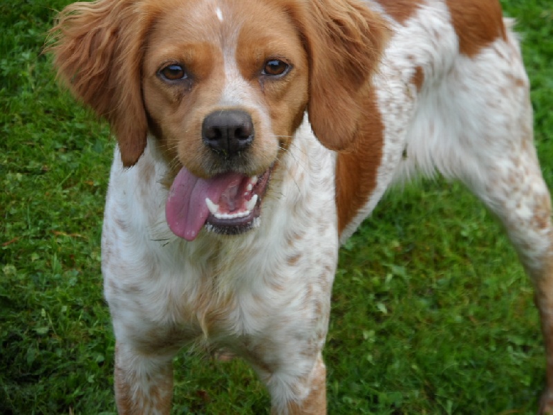 Hulma De La Vallée De La Py