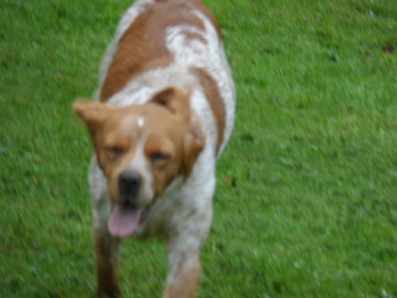 Hulma De La Vallée De La Py