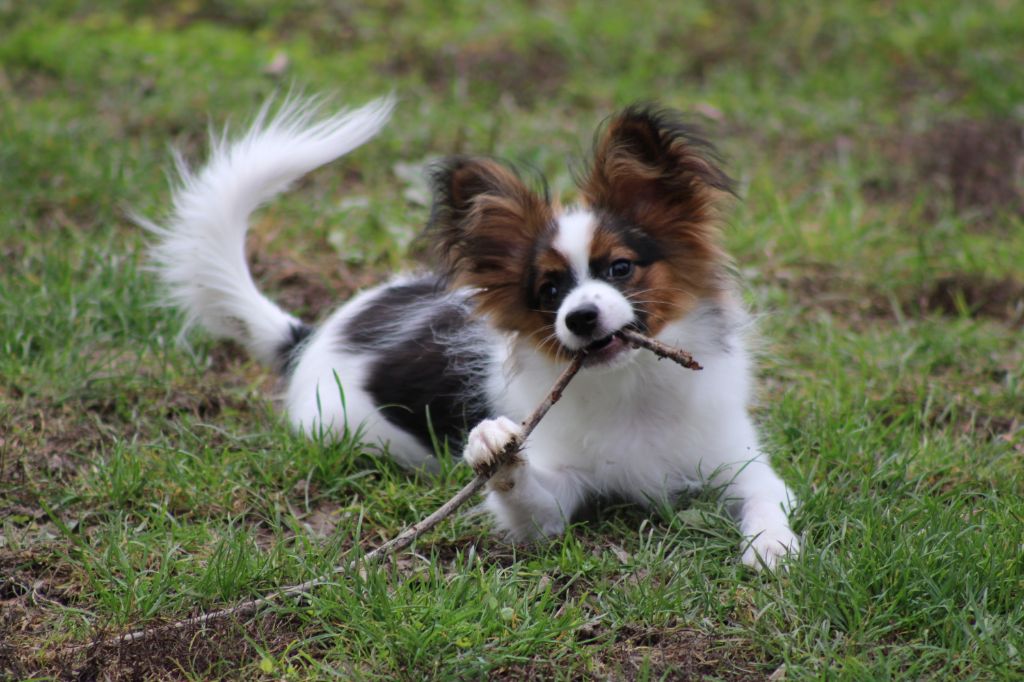 Ricky De La Vallée De La Py