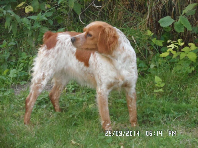 Hulma De La Vallée De La Py