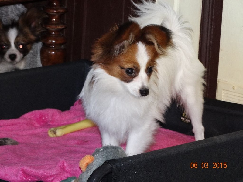 Jepp De La Vallée De La Py