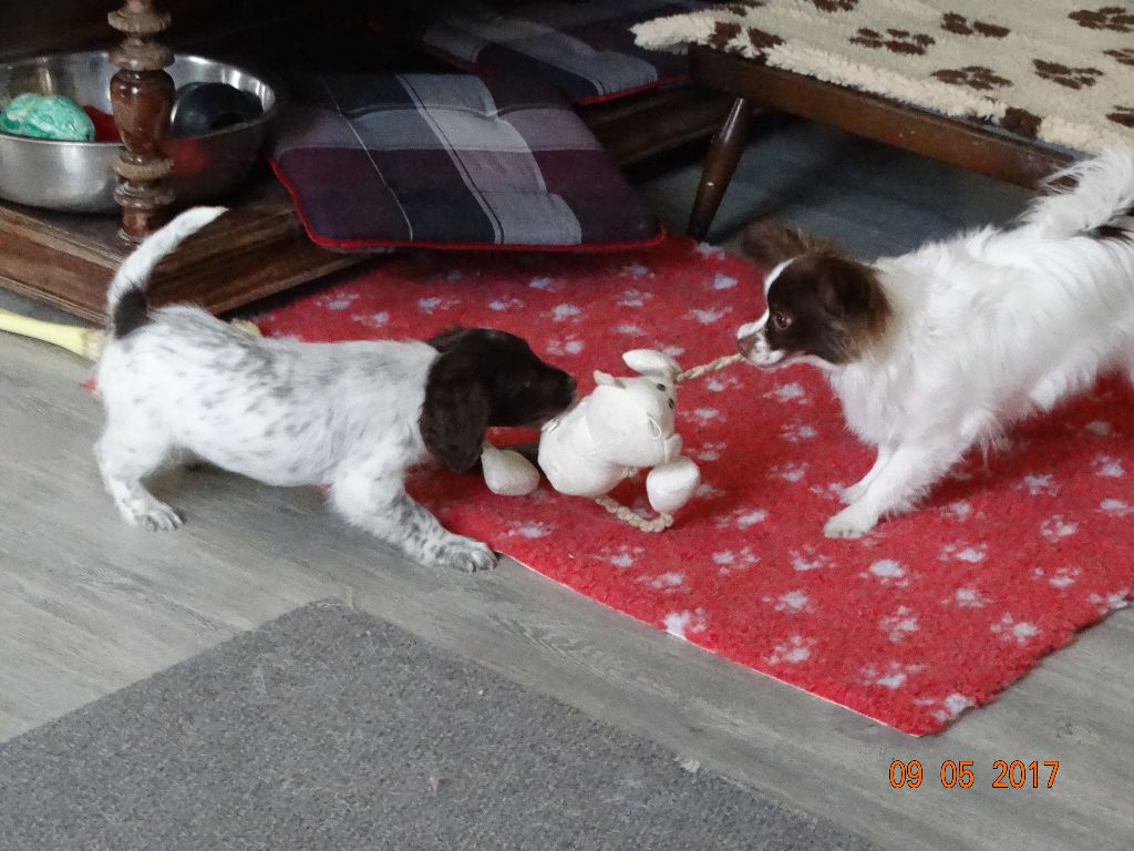 Mirabelle De La Vallée De La Py