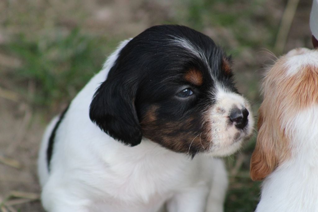 Vidoc De La Vallée De La Py