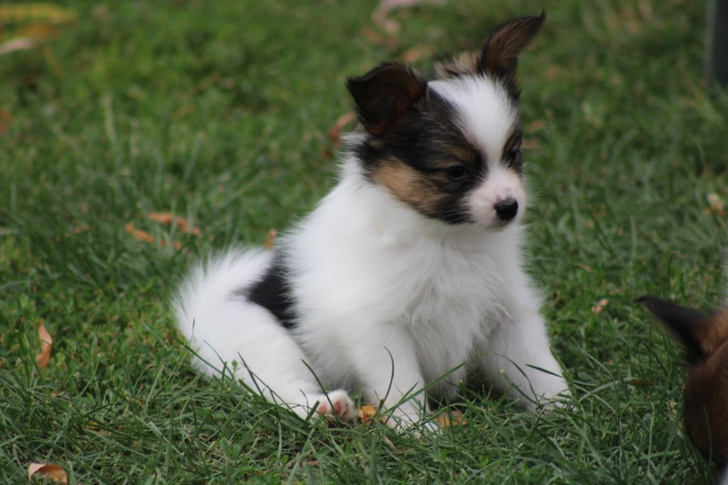 Ricky De La Vallée De La Py