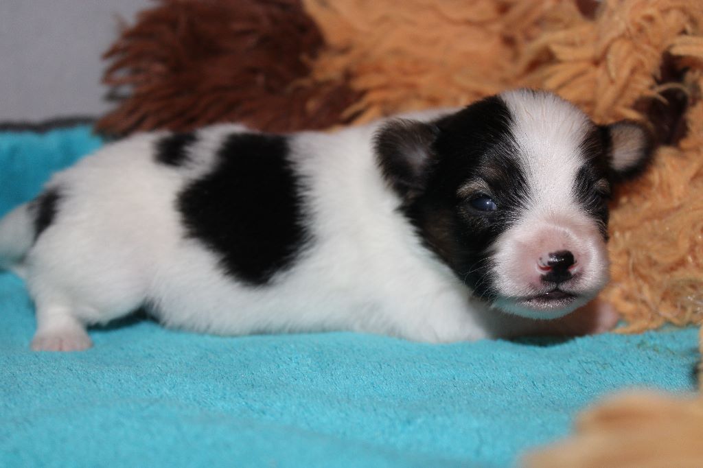 Ricky De La Vallée De La Py