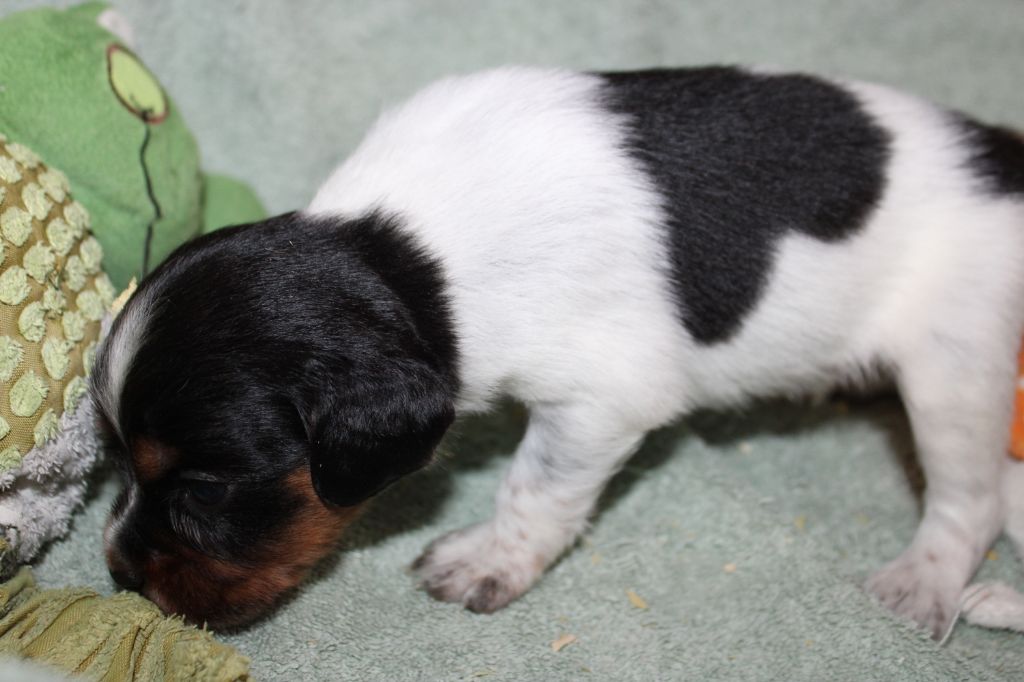 Publication : De La Vallée De La Py