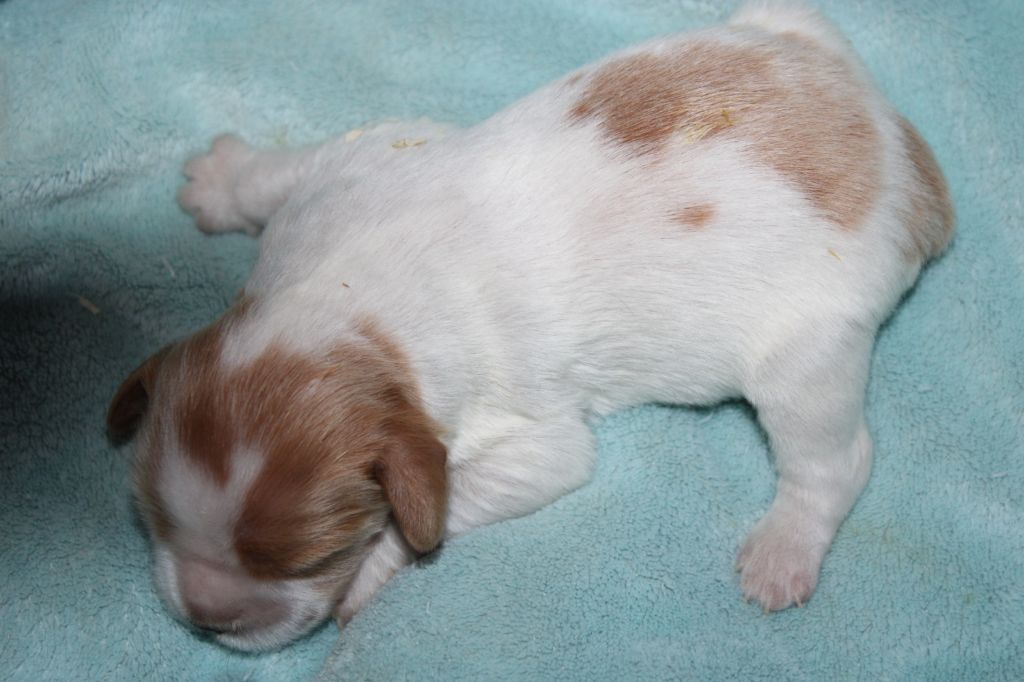 Artus De La Vallée De La Py